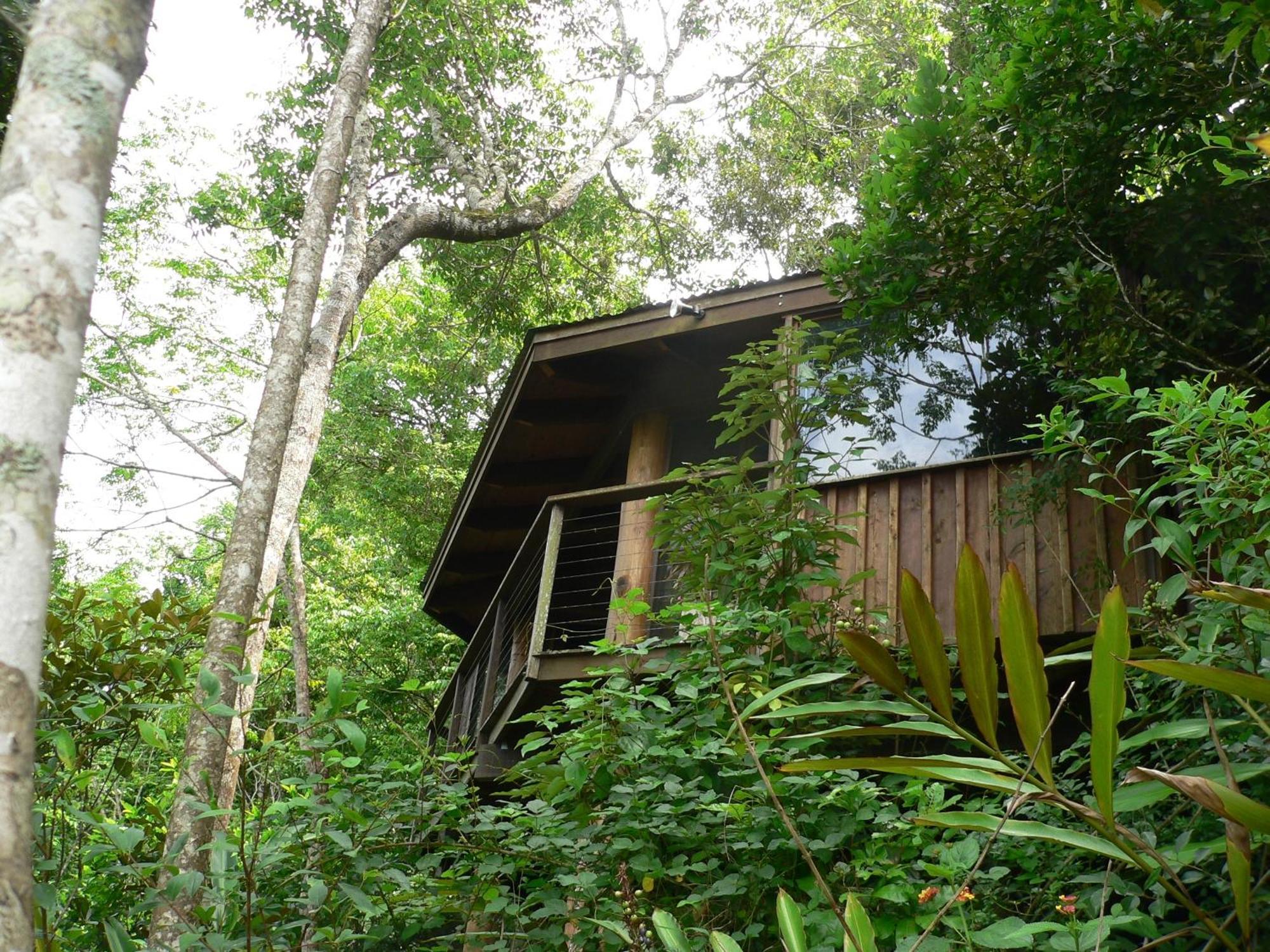 Mt Quincan Crater Retreat Yungaburra Exterior photo