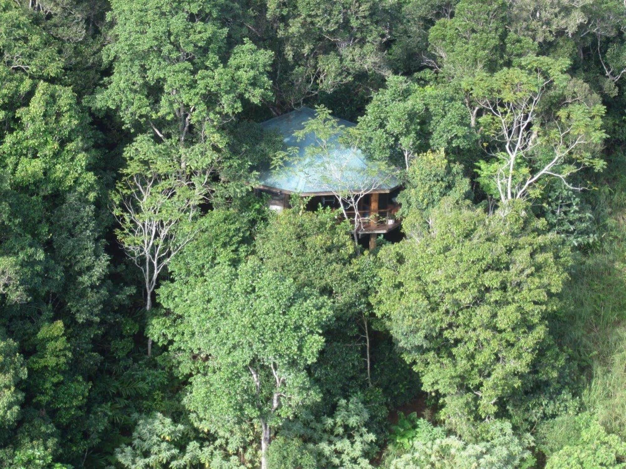 Mt Quincan Crater Retreat Yungaburra Exterior photo