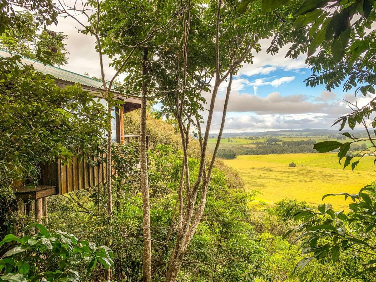 Mt Quincan Crater Retreat Yungaburra Exterior photo